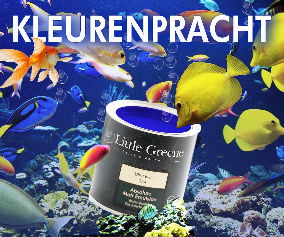 DE KLEURENPRACHT VAN LITTLE GREENE ABSOLUTE MATT EMULSION