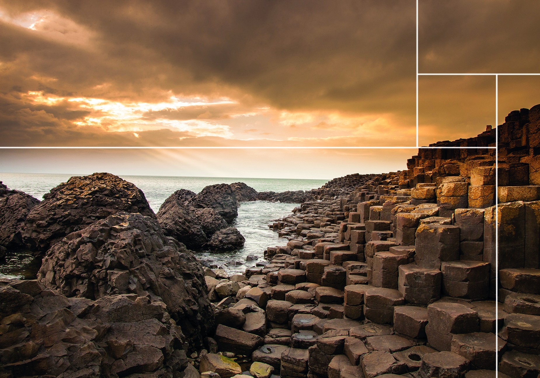 Nature @ Home-CAUSEWAY STONES